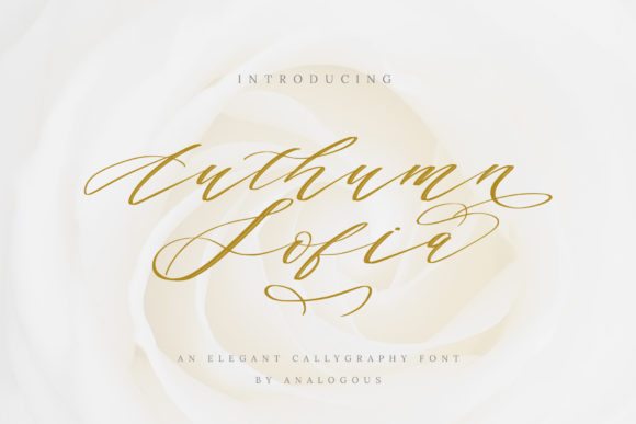 Authumn Sofia Font: Elevating Small Business Branding