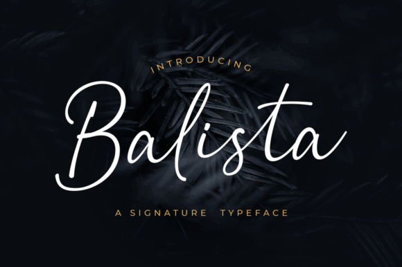 Balista Font: Elegant Handwritten Script for Web Design