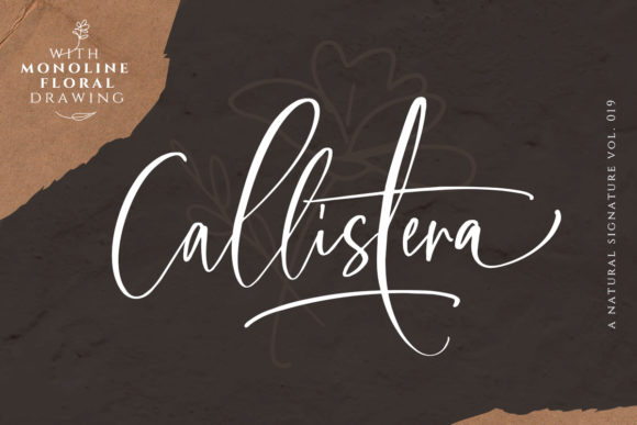 Callistera Font Review: Elevating Campaign Visuals