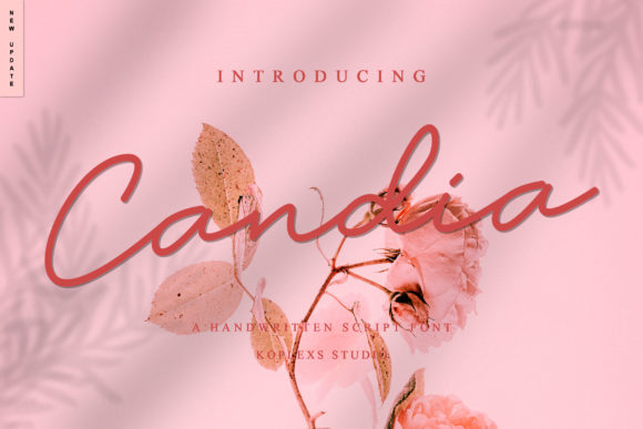 Candia Font: Authentic Typography for Small Business Branding